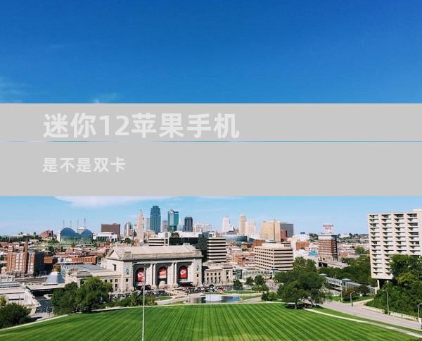 迷你12苹果手机是不是双卡