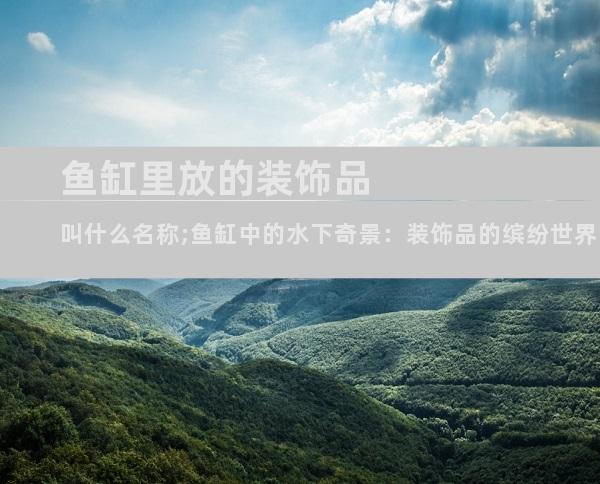 鱼缸里放的装饰品叫什么名称;鱼缸中的水下奇景：装饰品的缤纷世界