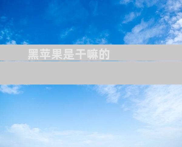 黑苹果是干嘛的